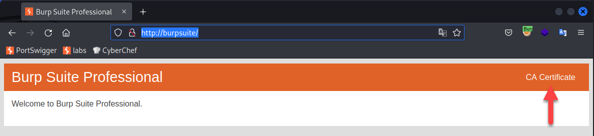 Installing Burp’s certificate in Firefox