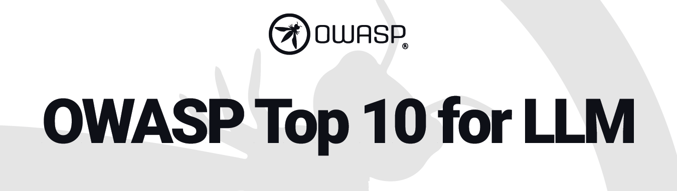 Prompt Injection – OWASP Top 10 for LLM